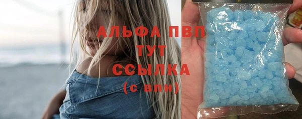 ешки Новозыбков