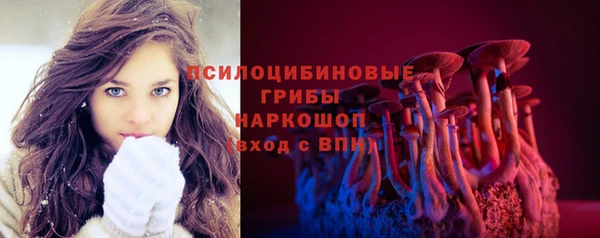экстази Няндома