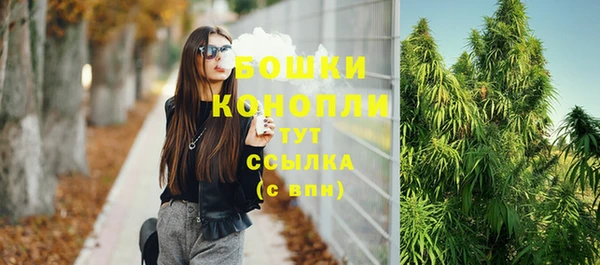 ешки Новозыбков