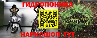 бошки Будённовск