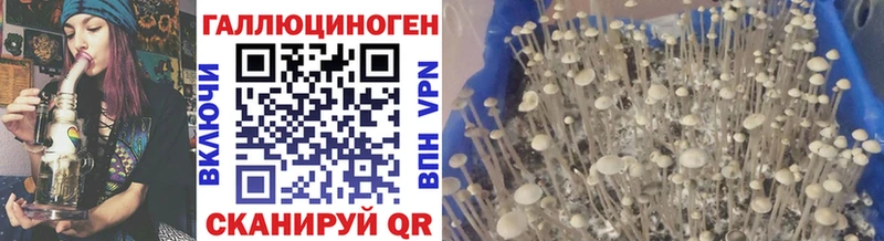 Псилоцибиновые грибы мицелий Волжск