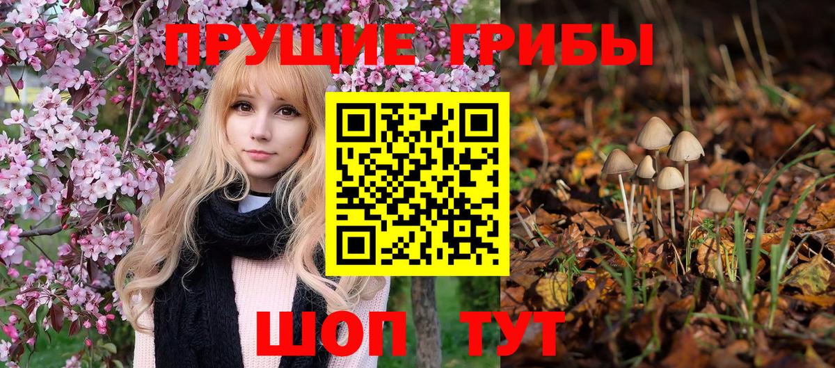 Волжск  купить   Вход с VPN  Псилоцибиновые грибы мицелий  Галлюциногенные грибы Psilocybine cubensis 