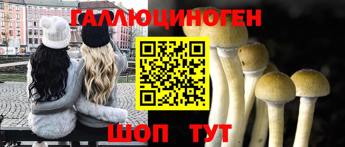 Галлюциногенные грибы GOLDEN TEACHER Волжск